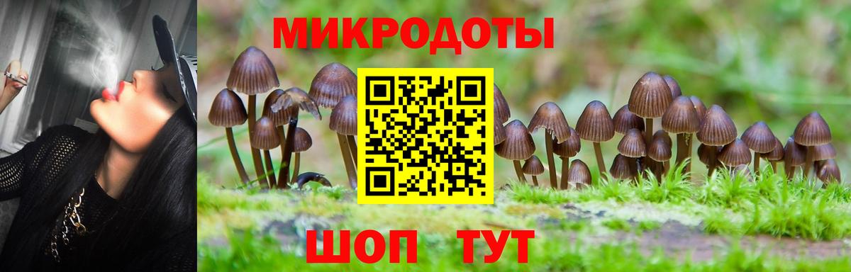 Псилоцибиновые грибы MAGIC MUSHROOMS  Вход с VPN  Сердобск 
